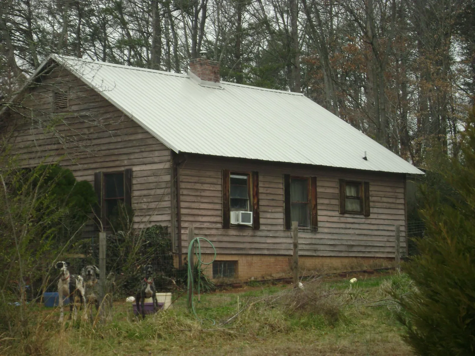 White metal roof on an old wood sided farmhouse, from a Asphalt Shingle Roof Repair job in Mount Aetna